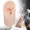 Realistic Silicone Ear Model Soft and Flexible Medical Students Practice