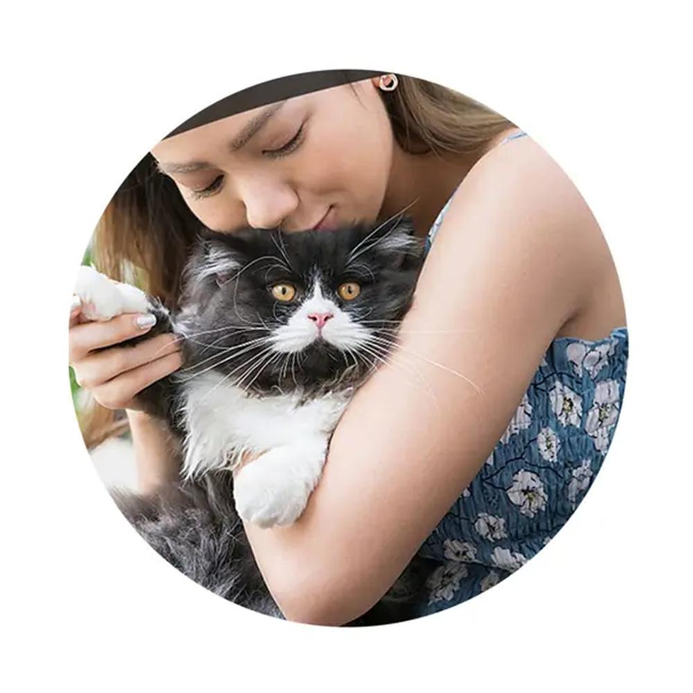 For AirTag Tracker Reflective Pet Collar Silicone Protective Case with ID Address Tag