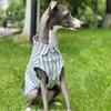 Lévrier Italien Rayures Bleues Coton Sans Manches Tissu Frais et Confortable Été Ultra-fin Chiens Whippets Vêtements
