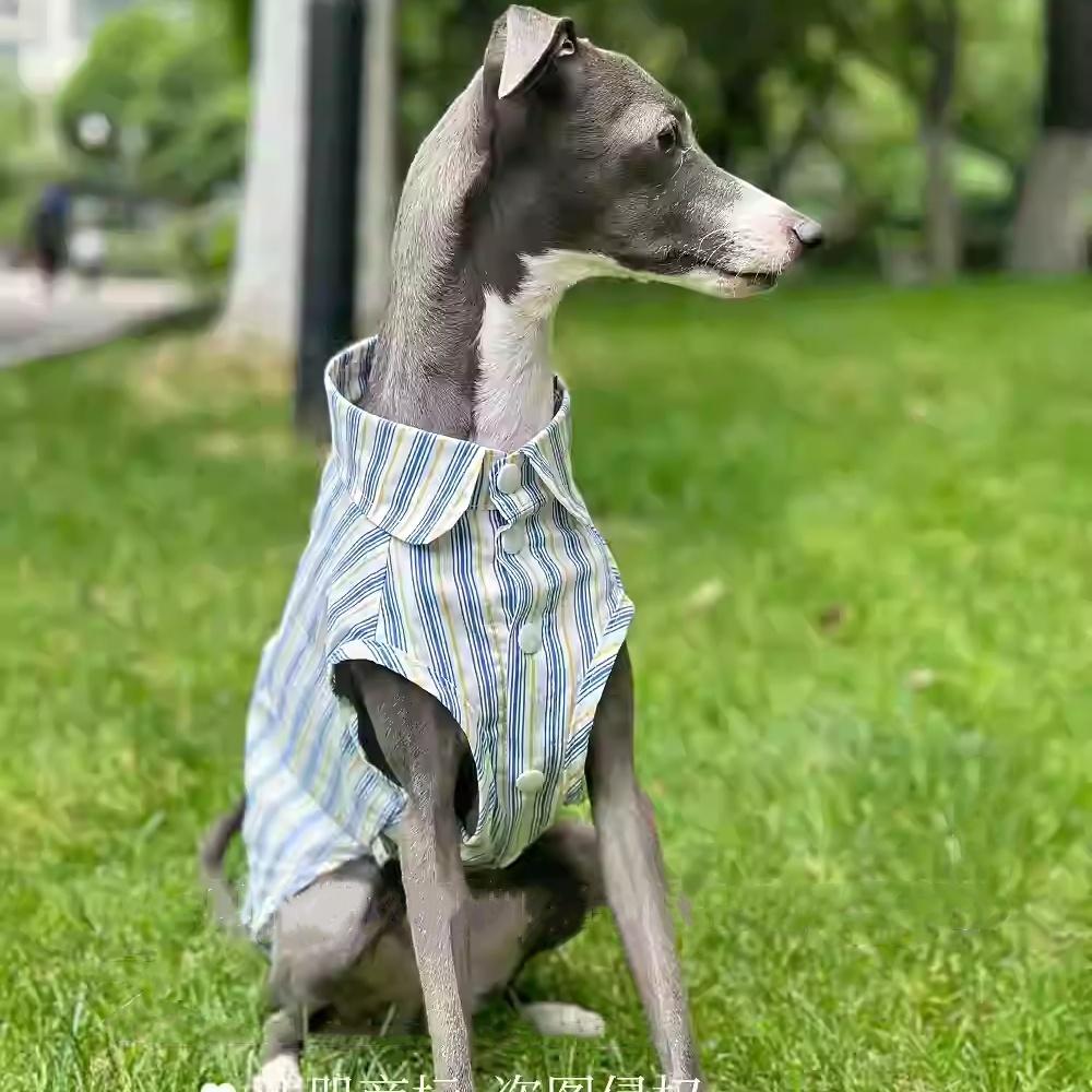 Lévrier Italien Rayures Bleues Coton Sans Manches Tissu Frais et Confortable Été Ultra-fin Chiens Whippets Vêtements
