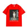 I Got That Cat in Me Funny Meme T Shirt High Quality Fashion Short Sleeve T-shirts Men Women Clothing Oversized T-shirt