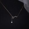 Female New Big Dipper Necklace Fashion Personality Light Luxury Niche Design Sense Tassel Exquisite Clavicle Chain