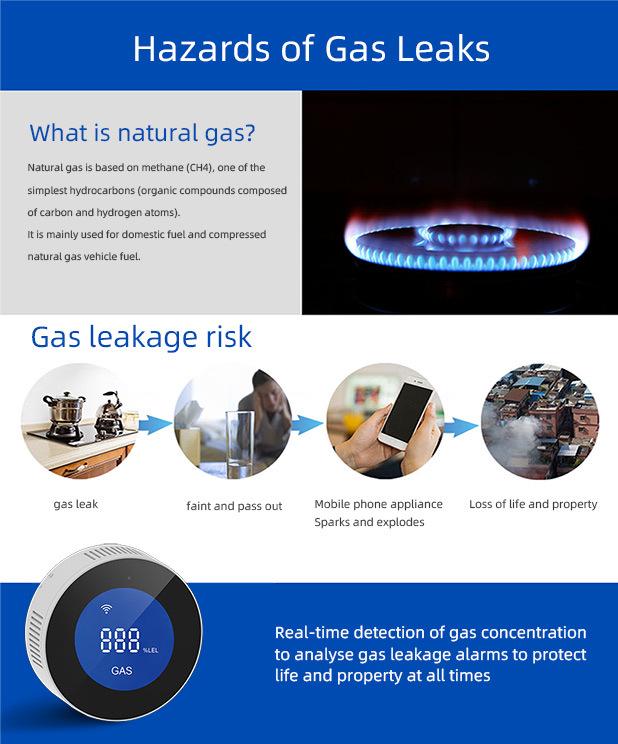 Detectoare de gaz natural Graffiti WiFi Alarme