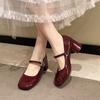 2025 New Mary Jane Women's Pumps Square Toe Chunky Heels Versatile Shallow Fashion Shoes for Daily & Party Stylish High Heels