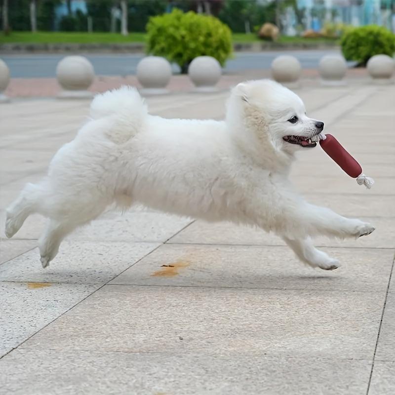 3 Consecutive  Interactive Dog Chew Toys Available for Four Seasons