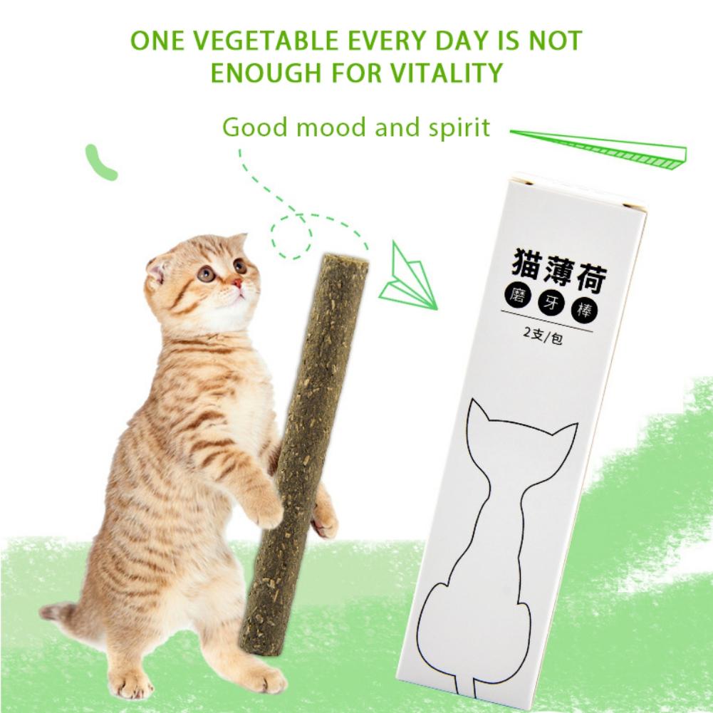 mint stick cat toy