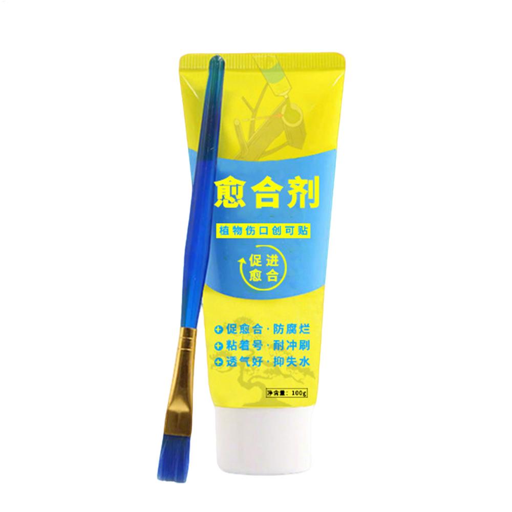 

100g Tree Pruning Sealer Plant Grafting And Wound Repair Tools Tree Wound Bonsai Cut Paste Smear Agent Trunk Dressing Supplies
