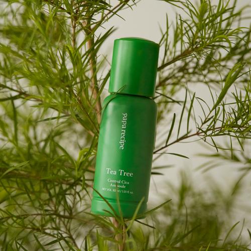 Papa Recipe Tea Tree Control Cica Ampoule 30ml