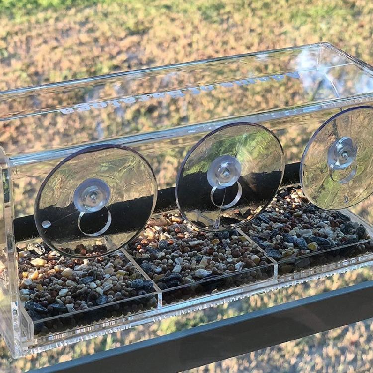 Clear Bird Feeder for Bird Waterproof Bird Food Feeder Feeding Supplies