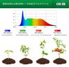 Pispoer Clip Lamp, 24W Plant Grow Lamp, Color Rendering Index RA98 Full Spectrum (Saves Plant Grow Light Requirements), Color Temperature 5800K (Dayli