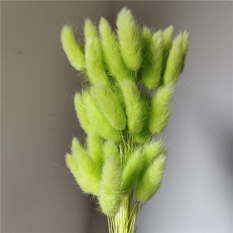 Yunnan Dried Flowers Bouquet - Rabbit Tail Grass