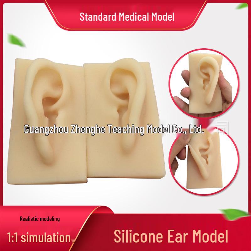 Realistic Silicone Ear Model for Hearing Aid Display Props 1:1