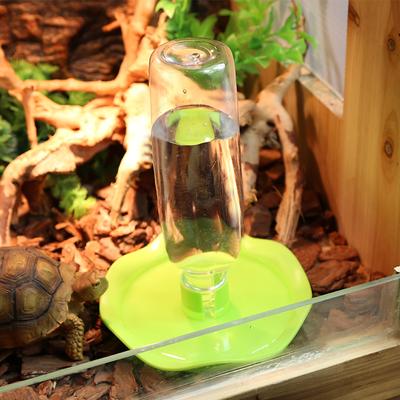 Amphibious Reptile Feeder Spider Bird Plastic Reptile Feeding Basin Turtle Lizard Reptile Bowl Turtle Water   Dispenser