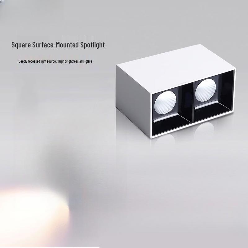 Oeny Double-Head Surface-Mounted Ceiling Spotlight