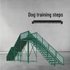 Equipamento Profissional para Pista de Obstáculos de Treinamento de Cães