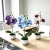 Artificial Orchid, Home/Office Decoration - Display of Living Room Dining Table, Entrance Flower Decoration, Not Easy to Fade