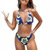 2026 New European and American Tropical Flower Bikini Split Swimsuit Set Sexy Vacation Beach Swimsuit Women