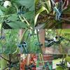 20pcs Reusable Garden Greenhouse Plant Fixed Clips - Perfect for Supporting Your Plants, Vines & Flowers! - For Gardeners & Plant Lovers