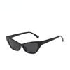 Cat Eye Sunglasses Fashion Vintage Retro Triangular Glasses for Women Men Designer Brand Outdoor Travel