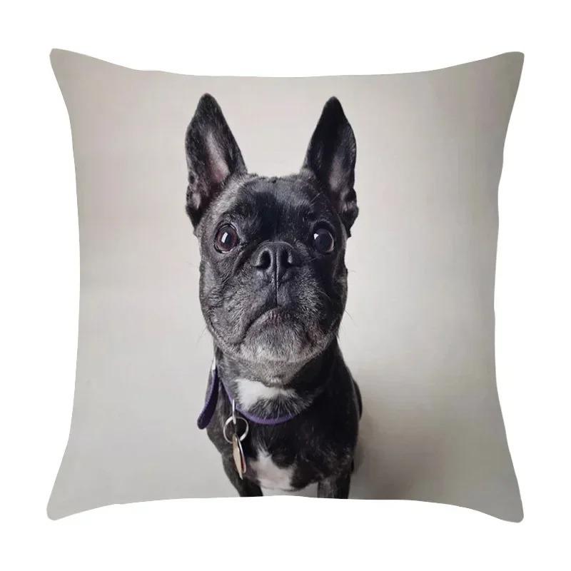 Cute Pet Puppy Black and White Art Photo Office Sofa Cushion Pillowcase