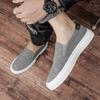 2025 Summer New Breathable Canvas Shoes Men's Versatile Casual Shoes Men's Board Shoes Overfitting Men's Shoes Thin Men's Cloth Shoes