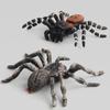 Simulation Pvc Animal Static Model Arthropod Spider Doll Collection Boutique Ornament Gift Gift Toy