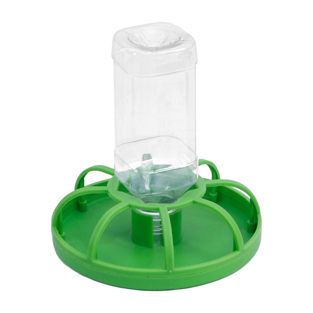 Reptile Water Feeder Automatic Reptile Feeder Tortoise Dispenser for Geckos Lizards Turtle Bearded Dragons