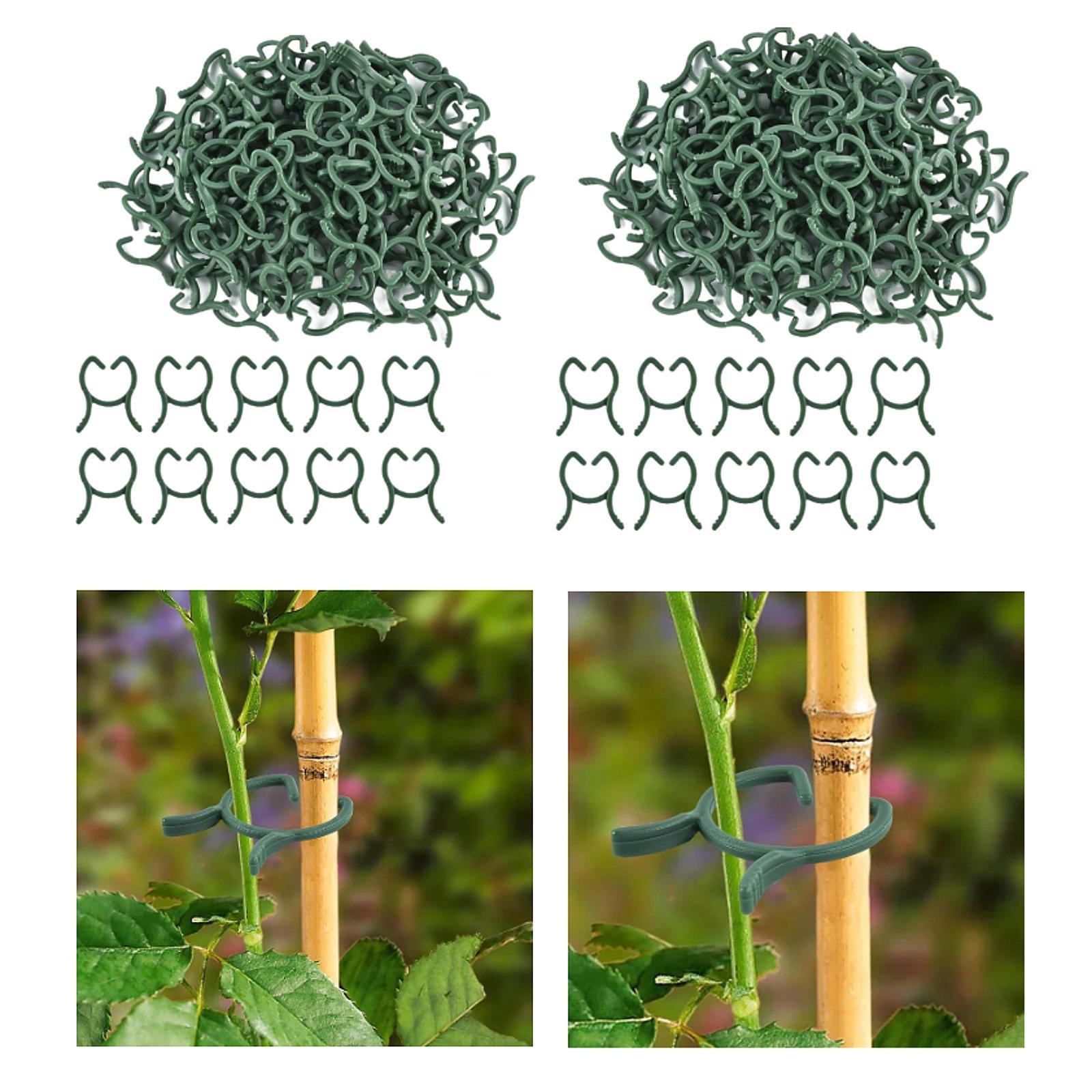 

Plant Vine Wall Clips Reusable Lightweight Easy to Use Versatile Usage 1.6cm