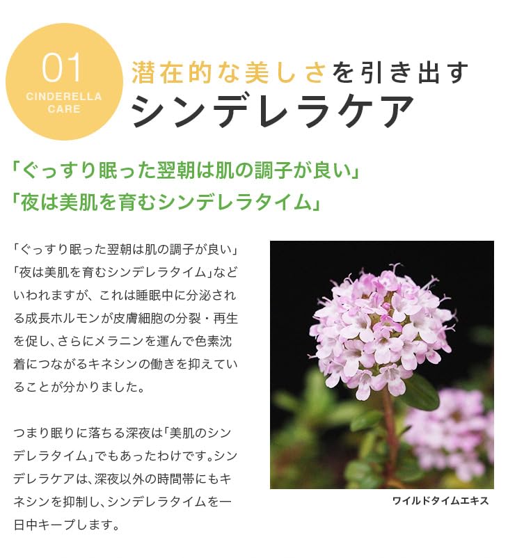 Panbesh Skin ett nattserum speciellt utformat för rynkor och slapphet i hudsystemet medan du uppnår mer genomskinlig vård natt bara