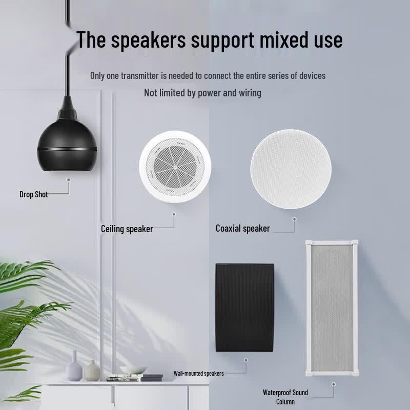 Newmine D9 Wireless Coaxial Ceiling Speaker System (CN version)