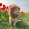 Funny Lion Wig for Cats & Dogs - Cute Halloween Costume Hat