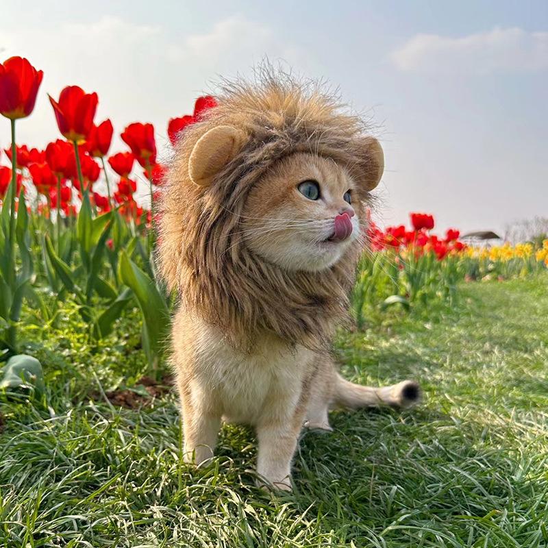 Funny Lion Wig for Cats & Dogs - Cute Halloween Costume Hat