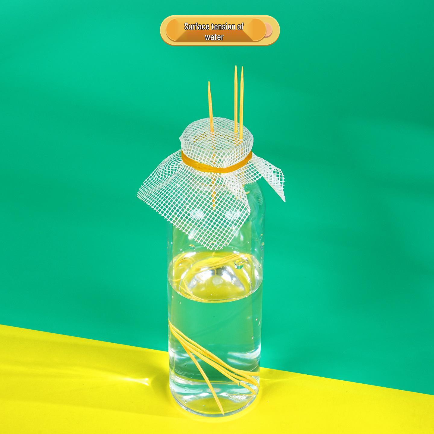 Surface Tension of Water DIY Science Experiment Kit for Children & Students - STEAM Teaching Aids