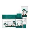 Pine Cica Calming Skincare Set (Toner Pad 50 Pads + Ampoule 30ml + Cream 50ml)