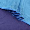 Cross-Border Cooling Ice Silk Sports Towel - Customizable Cold Towel for Fitness
