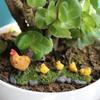 House Ornaments Fairy Garden Chicken Family Figurines Micro Landscape Farm Poultry Hen Chick Models