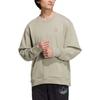 Adidas Originals Sweatshirts Men's Light Green Crew Neck Moderate Regular IC8143