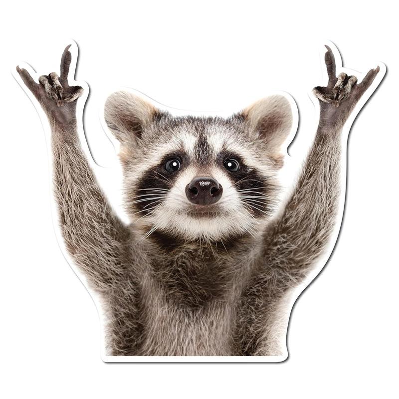 

Трансграничные качающиеся наклейки с изображением енота Настенные и оконные бамперы Персонализированные модные наклейки с животными Наклейки с изображением енота на автомобиль 14x12cm бездна