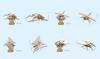 in three 3D Puzzle Wooden Puzzle Beetle Stag Beetle with Base 8 Types 3D Insect Toy Wooden Model Craft Kit 3D Wooden Puzzle Insect [Good directions]