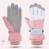 Adult Winter Warm Ski & Cycling Gloves