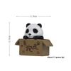 Panda Klein Süß Im Pappkarton Harzornamente Für Zuhause Büro Und Geschenk