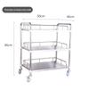Stainless Steel Mobile Instrument Cart for Beauty Salon and Oral Care
