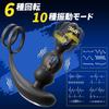 Laphwing Anal 6 Types of Rotation and 10 Types of Remote Control Remote Control for USB Sex Adult Goods Vibrator, Vibration, Included, Men,