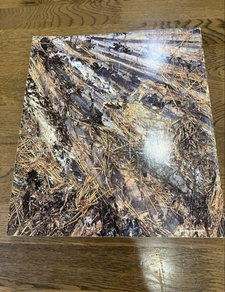 [USED] Anselm Kiefer by Mark Rosenthal