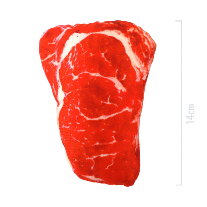 Real Like Pet Squeak Toy (Raw Meat)