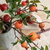 Plastic Simulation Pomegranate Fruit Realistic Fake Plants  Home Living Room Decor