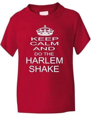 Keep Calm and Do The Harlem Shake Boys Girls T-Shirt Gift Age 1-13 2XL