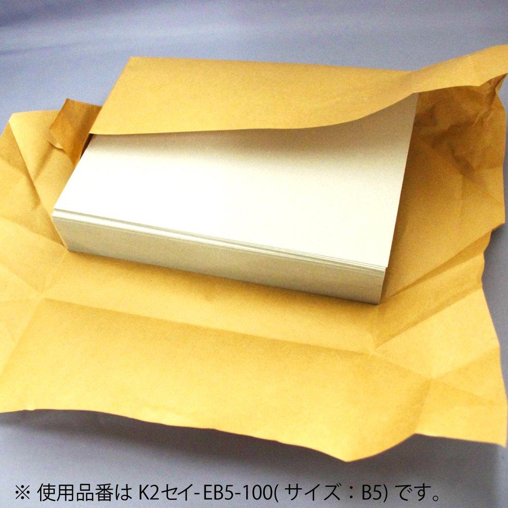 Kokuyo File Cardboard Cover K2 A3 100 Sheets K2SEI-EA3-100
