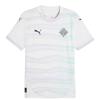Puma Unisex Adult 2025 Iceland Away Shirt