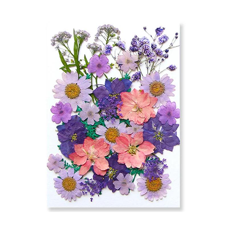 Dried Flowers Real Natural Plant Pressed Flower For Epoxy Resin Filling DIY Keychain Pendant Silicone Mold Jewelry Making Crafts